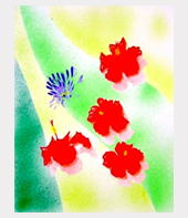 �n�C�r�X�J�X�ƒ�