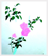 �ہi�ނ����j