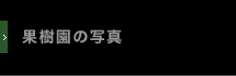 �ʎ����̎ʐ^